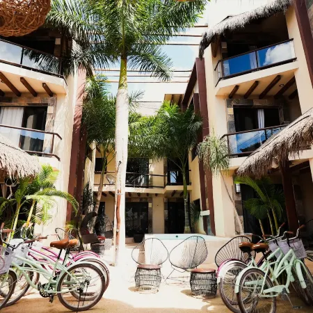 Macondo Raíz Holbox