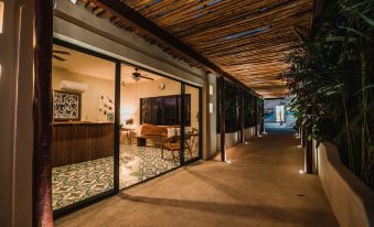 Blue Palm Bacalar
