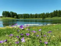 A' la Table du Sommelier Chambres D Hôtes
