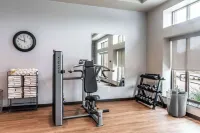 Drury Plaza Hotel College Station - Kuntosalit