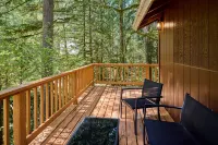 NEW - Cozy Waterfront Cabin Nestled in the Forest - King beds / AC / Fast Wi-fi