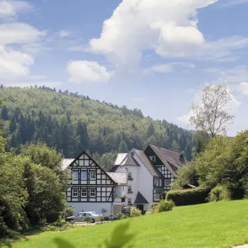 Hotel & Gasthof Hubertushöhe - Ihr Hotel für Urlaub Mit Hund