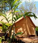Cozumel Glamping