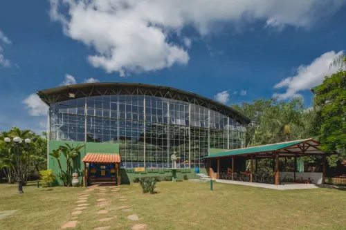 Parque Hotel Pimonte - Thermen