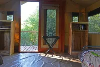 The Wild Olive Tree Camp