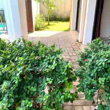 Forest View Apartments Hotel Exterior