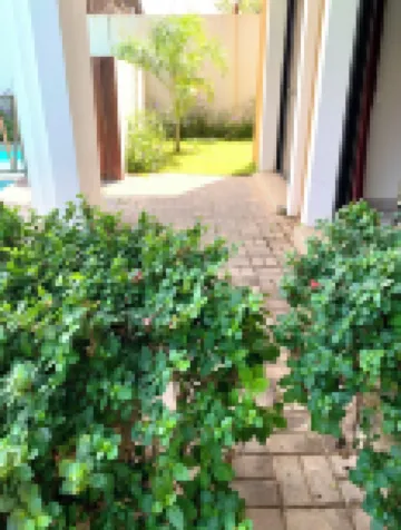 Forest View Apartments