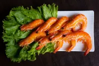 Herbal Life House Bed and Breakfast