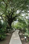 Turtle Beach Lodge Hotels near Tortuguero River