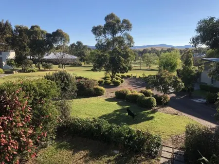 Gumnut Grove The Vintage