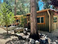 The Little Cabin 🌲The coziest cabin on the Mountain.