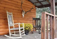 Charming 3-bedroom rustic cabin with WiFi in wonderful Williamsburg