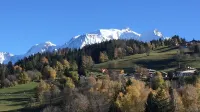 Two-room apartment with Mont Blanc view
