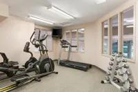 Days Inn & Suites by Wyndham Winkler - Gym