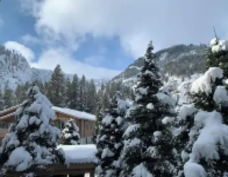 Wilkommen to Mountain View