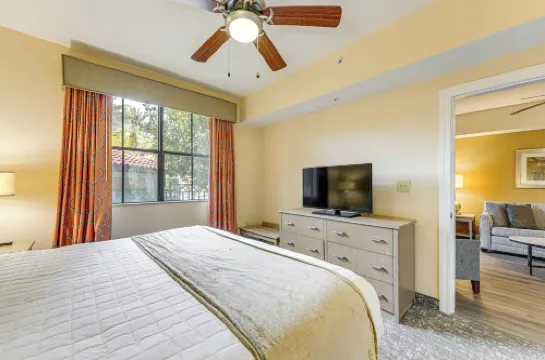 泳池畔的幸福與主題公園的刺激：奧蘭多綠洲