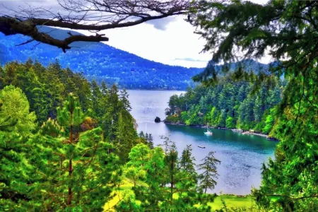 Waterfront Cottage on a Farm and Animal Sanctuary.