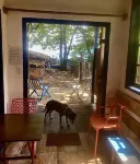 Chale na Praia do Curral Pé na Areia