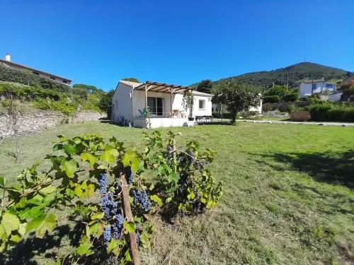 Comfortable house in quiet neighborhood 5 minutes walk from downtown