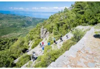 Beautifully furnished musicians' apartment