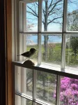 Historic 1785 Cape on 46 Forest Acres/ Water View/Pet Friendly