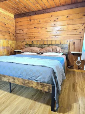 Lakeview Country Cabin ~ Studio King Bed w/ Futon