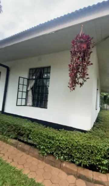 Jutland in Moshi Urban