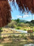Kubo House - A Farm Life Experience