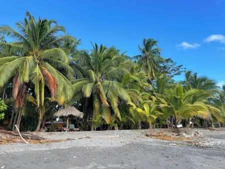 Keep it simple at this peaceful and centrally-located, 2 blocks from the beach Отели в г. Никосия