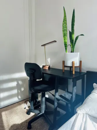 MASTER BEDROOM in New townhome in Central Fremont with AC.5 mins to Kaiser Tesla Отели в г. Фремонт