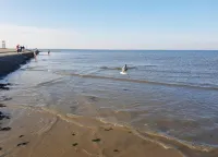 Haus in Ostfriesland mit Garten Hotels near Campingplatz am Nordseestrand