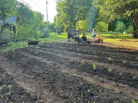 Beard and Lady Inn Hotels in 