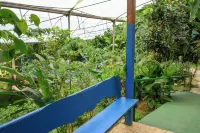Blue Morpho Lodge - 2-Star