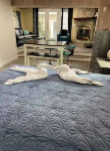 Waterfront Suite, Dogs Are Cool! No Pet Fee!