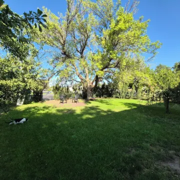 Greenish-Acres Farmhouse