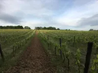 Villa in Aquitaine with Pool & BBQ