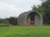 Chestnut Meadow Camping Hotels in Bexhill-on-Sea