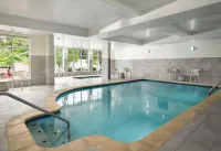 Hilton Garden Inn Meridian - Pools