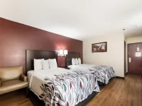 Red Roof Inn Auburn Hotels in DeKalb County