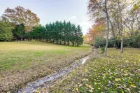 3 Mi to Hiawassee: 'Berry Cute Country Cottage' - 2 estrellas