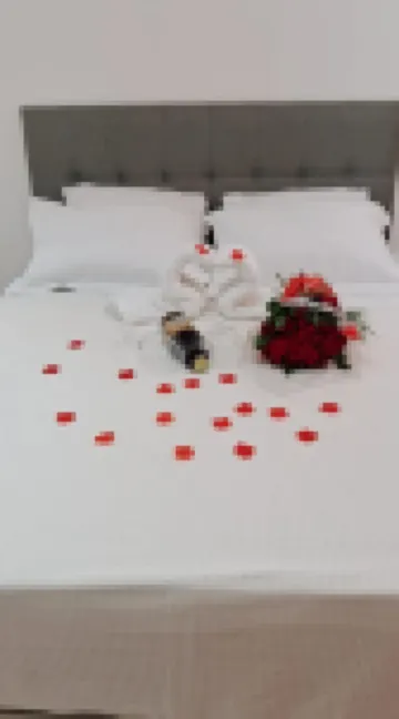 Lindo Loft Decorado No Centro C/ Garagem