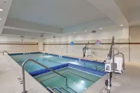 Hampton Inn & Suites Detroit/Troy - Hot Tub
