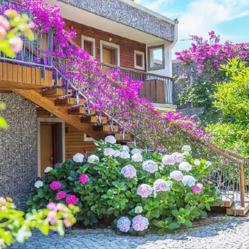 Costa Farilya Special Class Hotel Bodrum