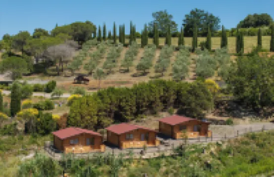 Agriturismo e Maneggio Poggio Leone