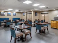 伯明翰霍姆伍德舒適酒店 鄰近伯明翰交叉綜合體的酒店