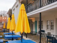 Little Mod Hotel at the University Hotels in Charlottesville