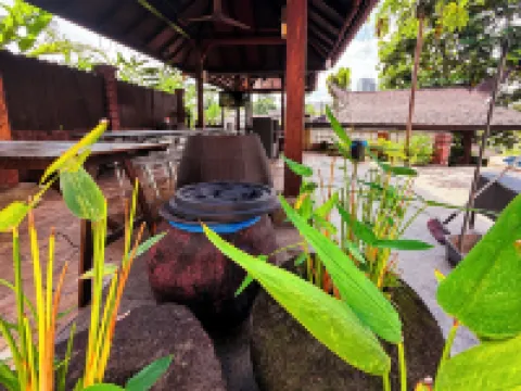 Serene Palm Heritage Tropical Villa Hotels in 