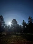 Cozy Cabin in the Pines!!! Close to the Polar Express, Grand Canyon, & Bearizona
