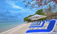 Hotel Isla del Encanto - Beach