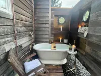 Sunsets, Ocean Views + Beach Path! Hotels in Grayland